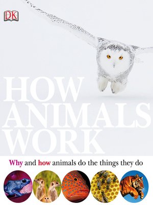 cover image of How Animals Work